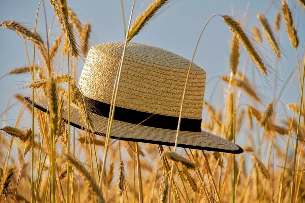 chapeau de paille dans un champ