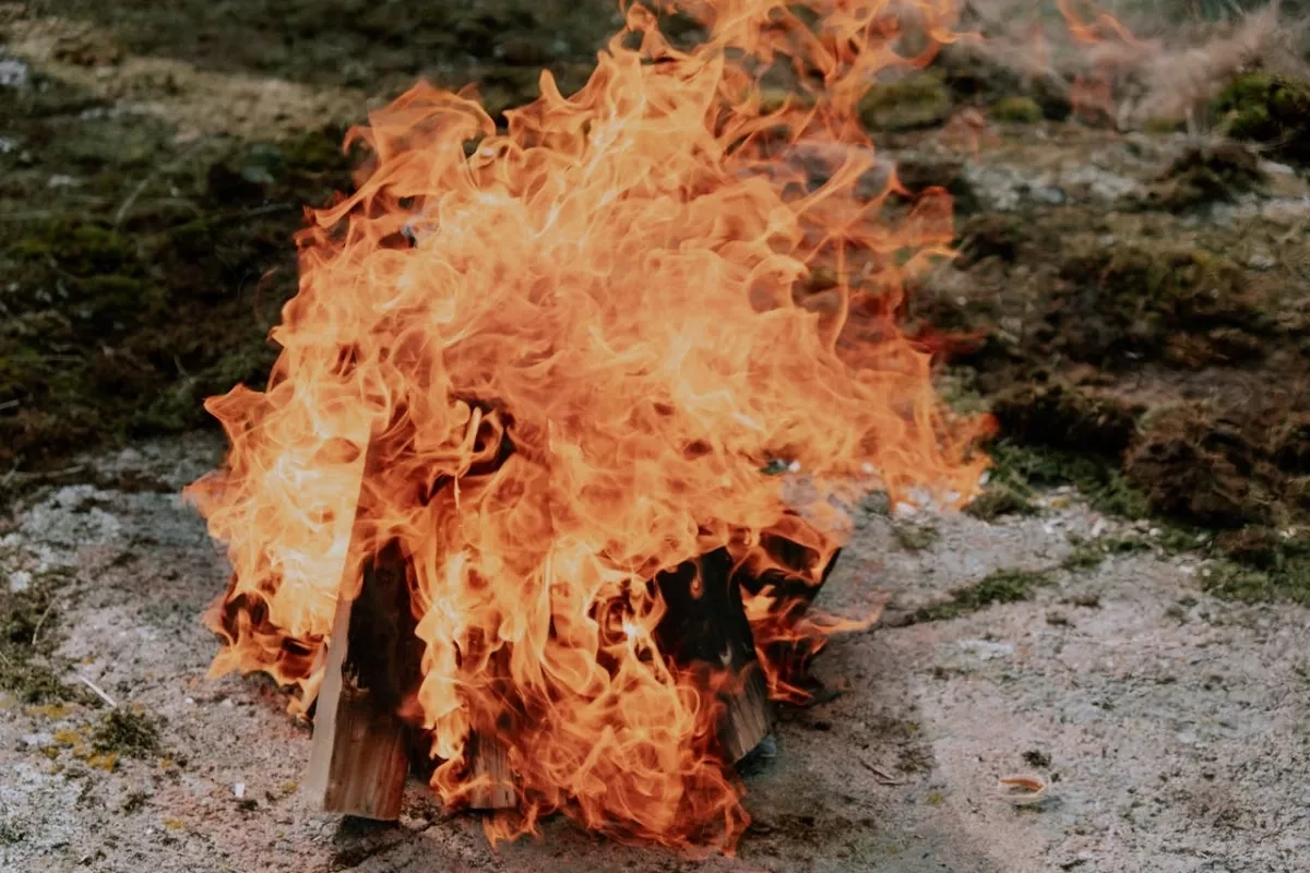 Du bois prend feu