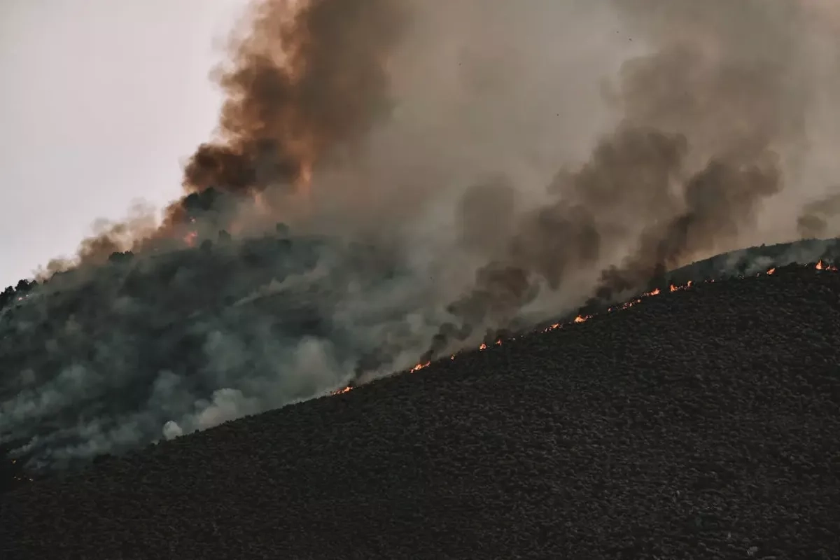 incendie fumée