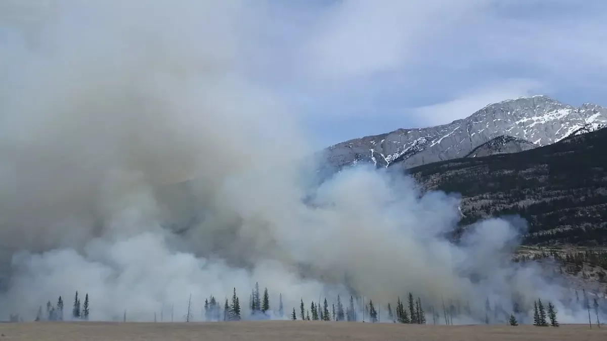 Incendie forêt