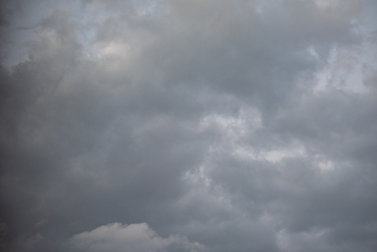 Nuages altrostatus