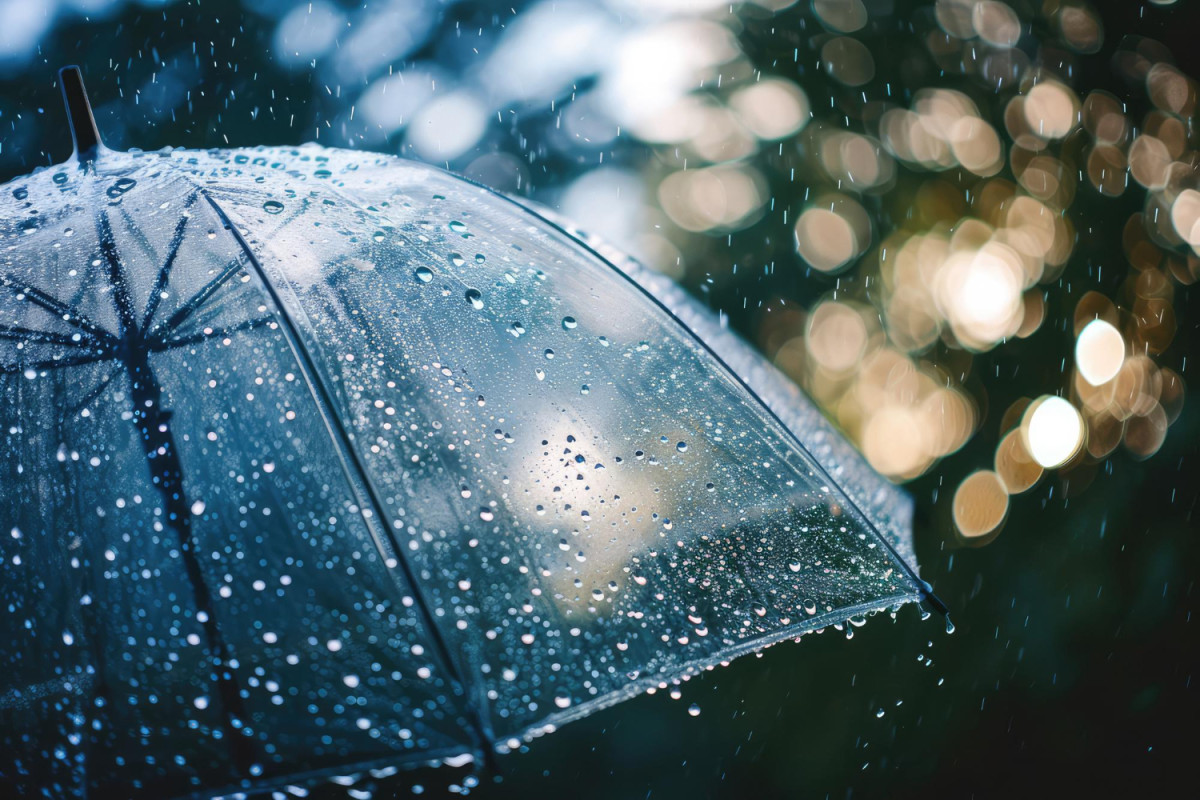 Parapluie