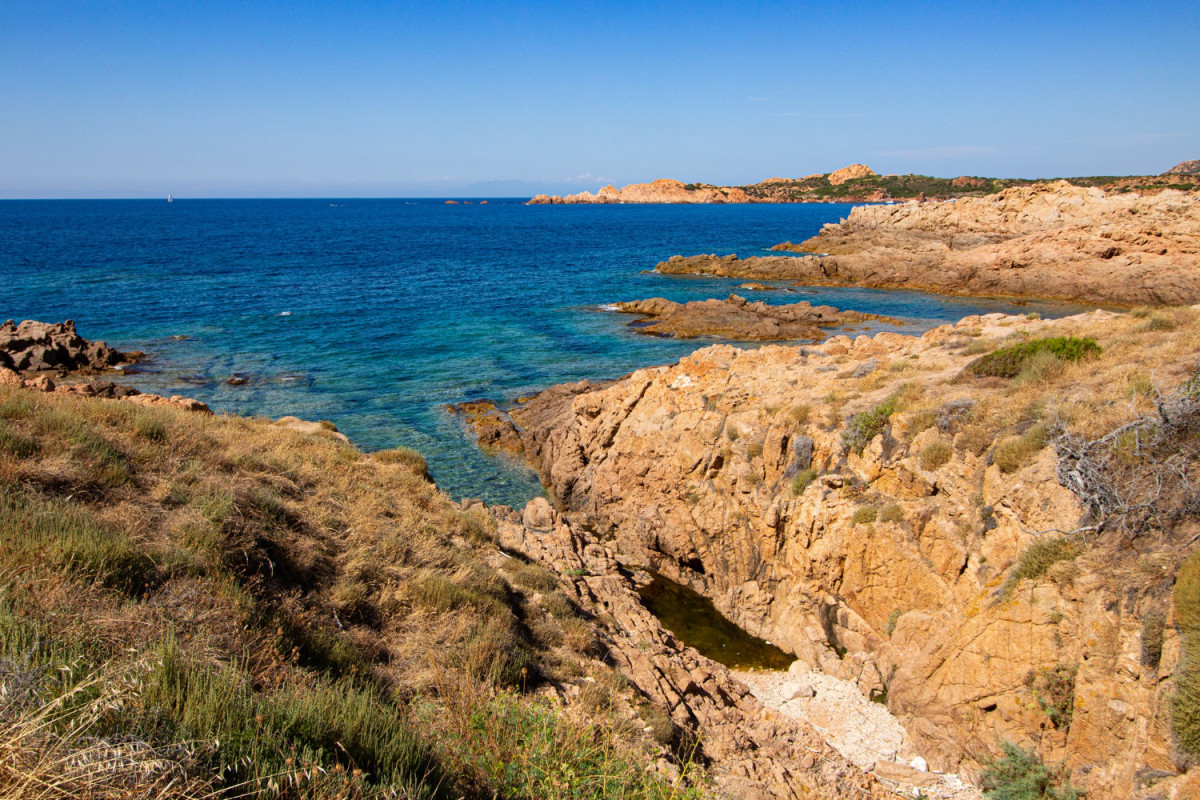 Corse