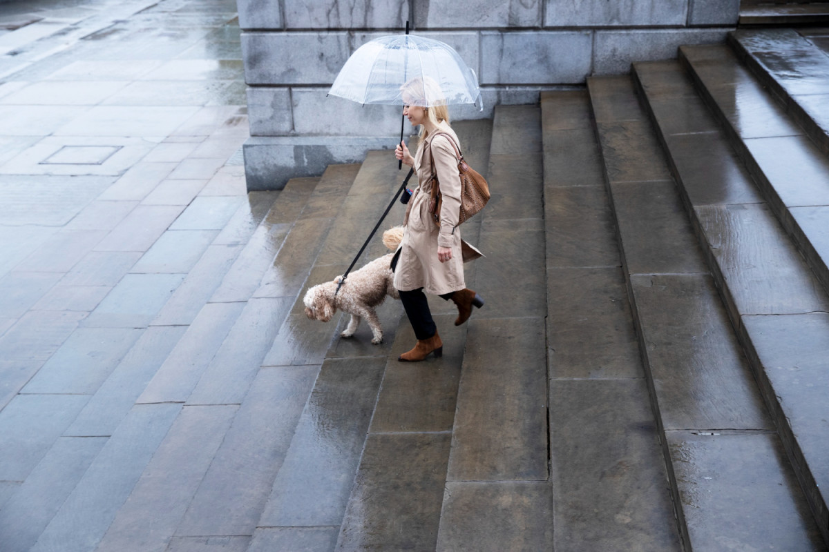 Une femme marche sous la pluie avec son chien