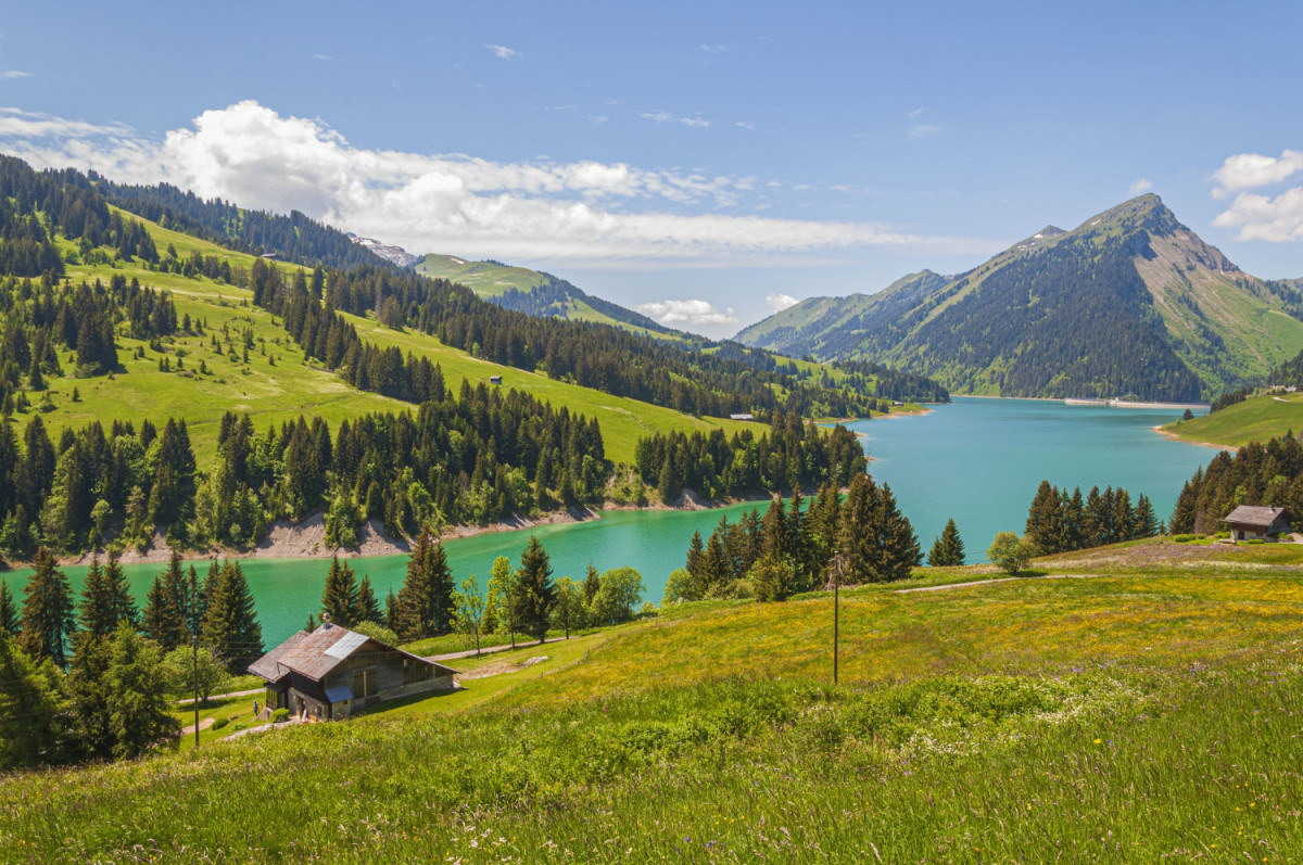 Suisse