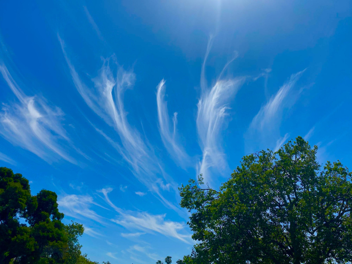 Des nuages étirés par le vent