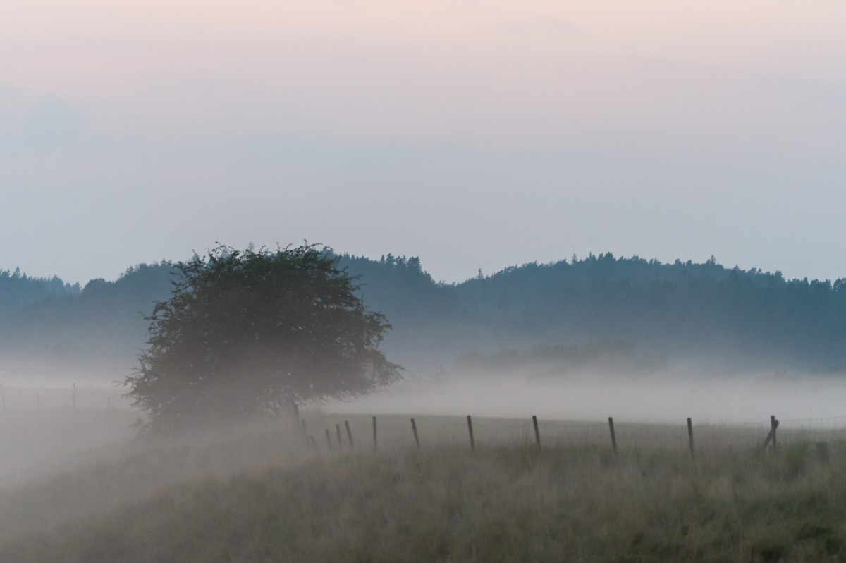 Campagne en plein brouillard