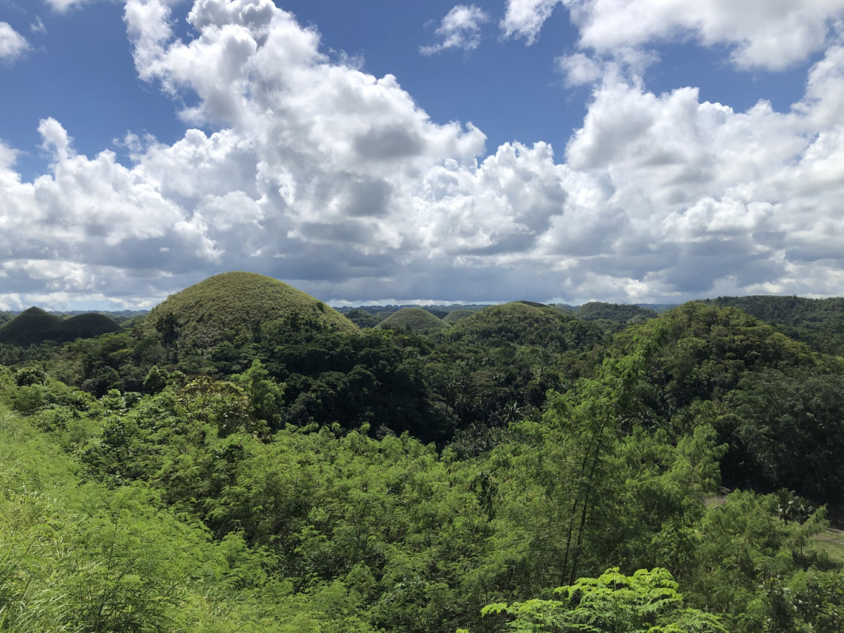 Forêt tropicale