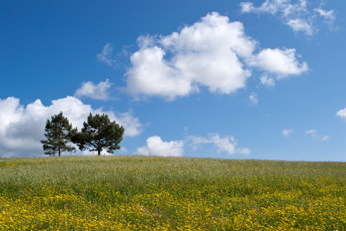 Plaine avec ciel bleu