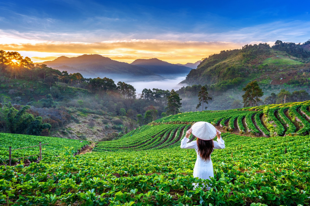 Une femme face à un champ au Vietnam