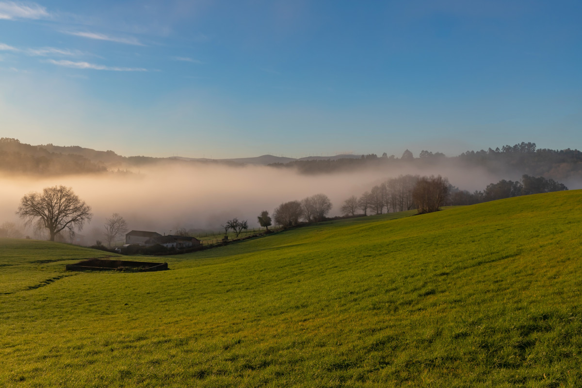 De la brume dans une campagne en hiver