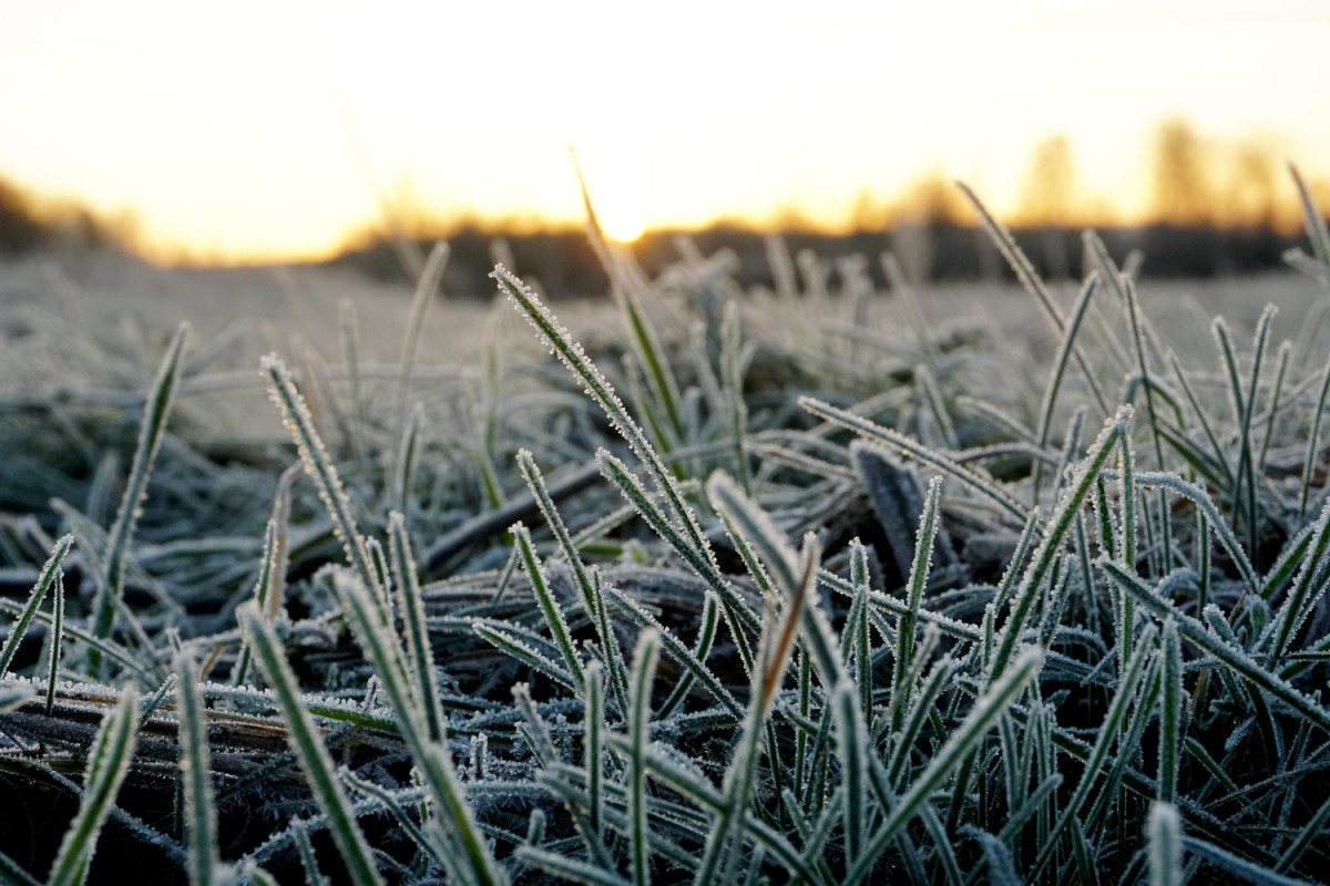 Campagne en partie gelée