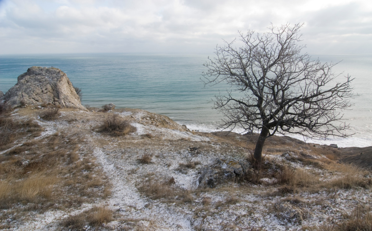 Paysage de Bretagne gelé