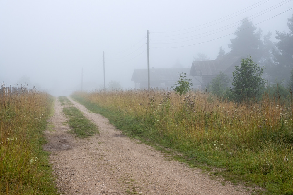 Route de terre en campagne dans le brouillard