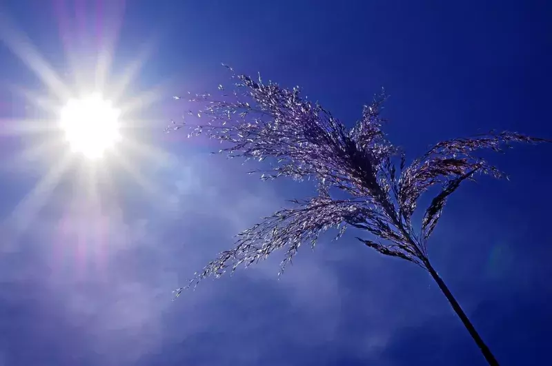 Soleil avec ciel bleu