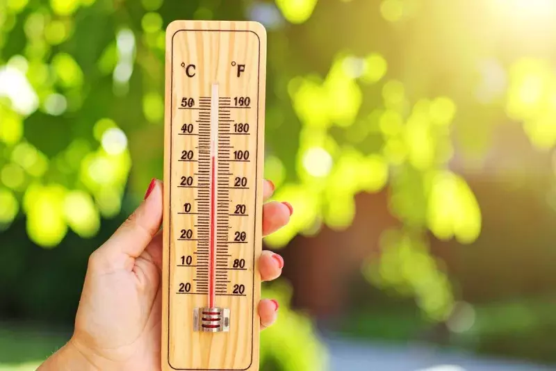 thermomètre dans une main