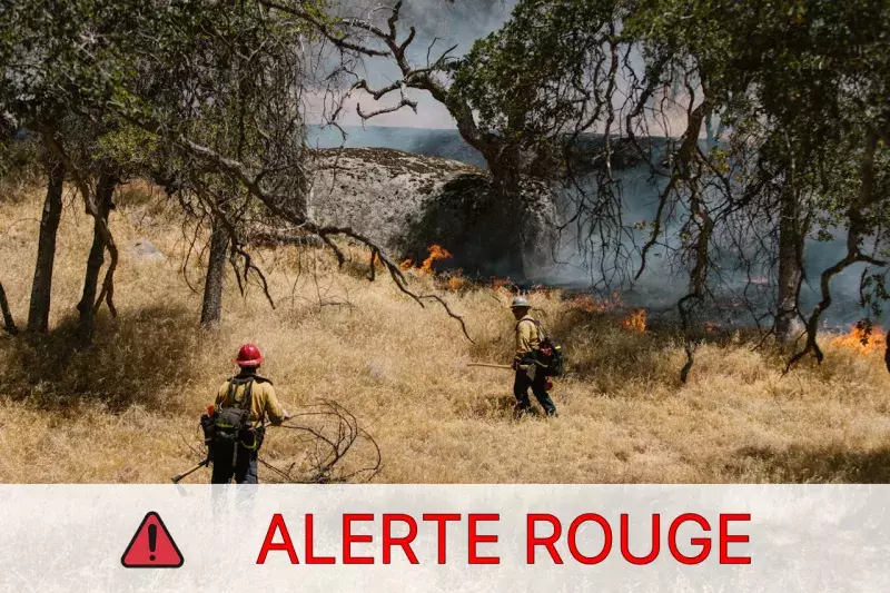 alerte rouge feux de forêt