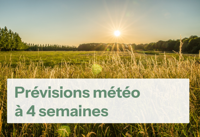 Campagne au soleil