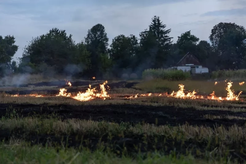 incendie dans une plaine384