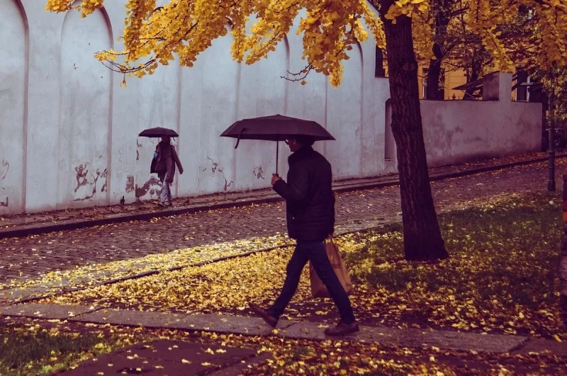 automne pluie1287