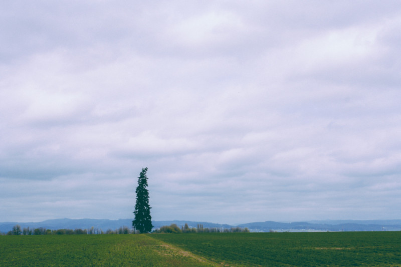Campagne avec ciel nuageux