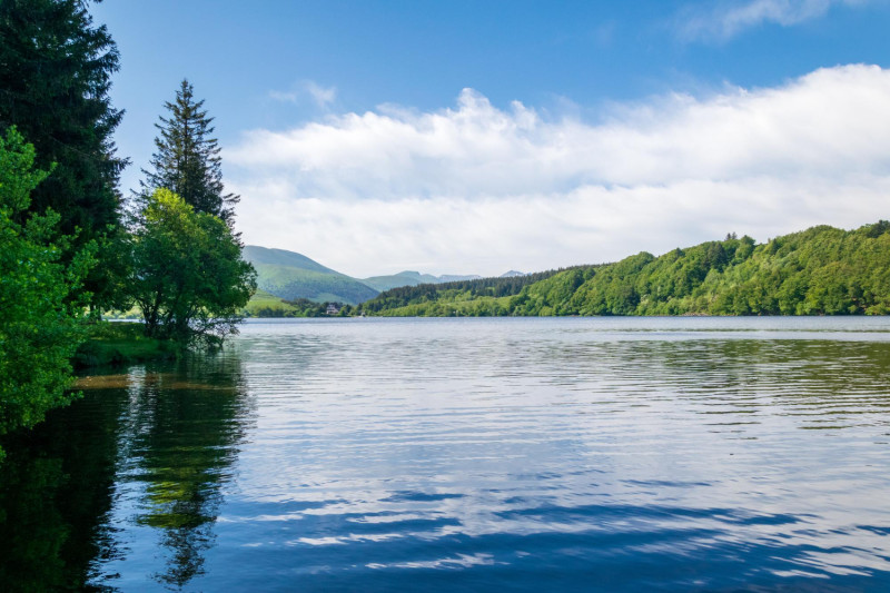 Très beau lac avec forêt896