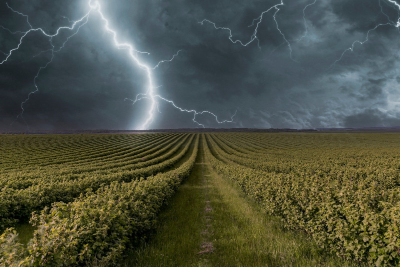 Un éclair zèbre la campagne1220