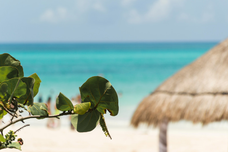 Plage paradisiaque1408