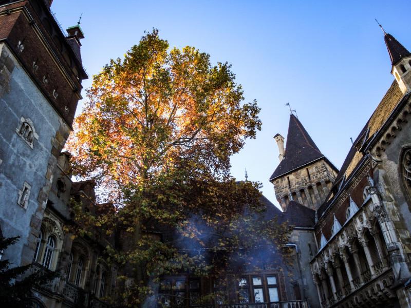 Rennes
