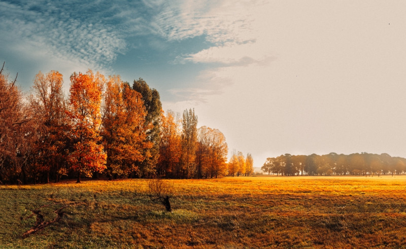 Plaine automnale