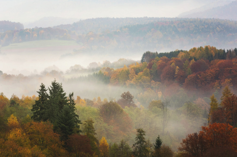 Brouillard en campagne1641