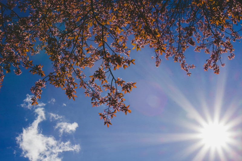 Ciel bleu et soleil