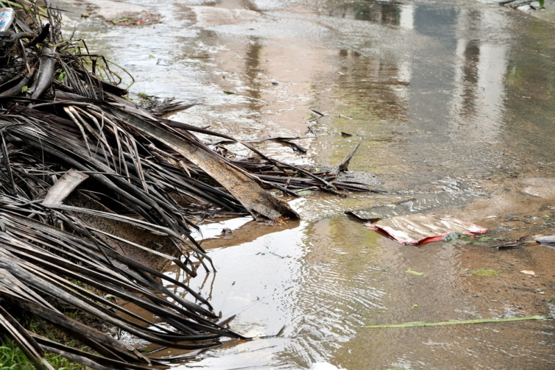 Débris emportés par l'eau