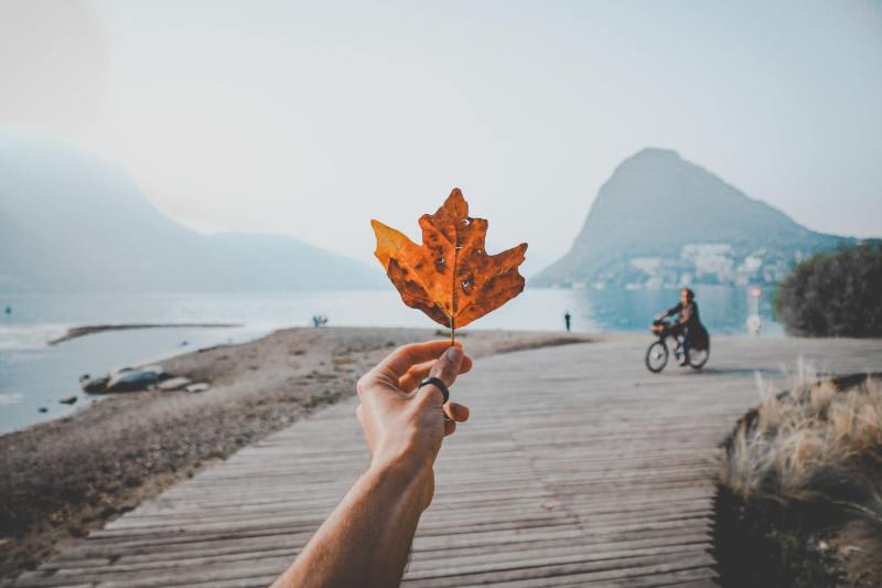 Une femme tient une feuille morte2272