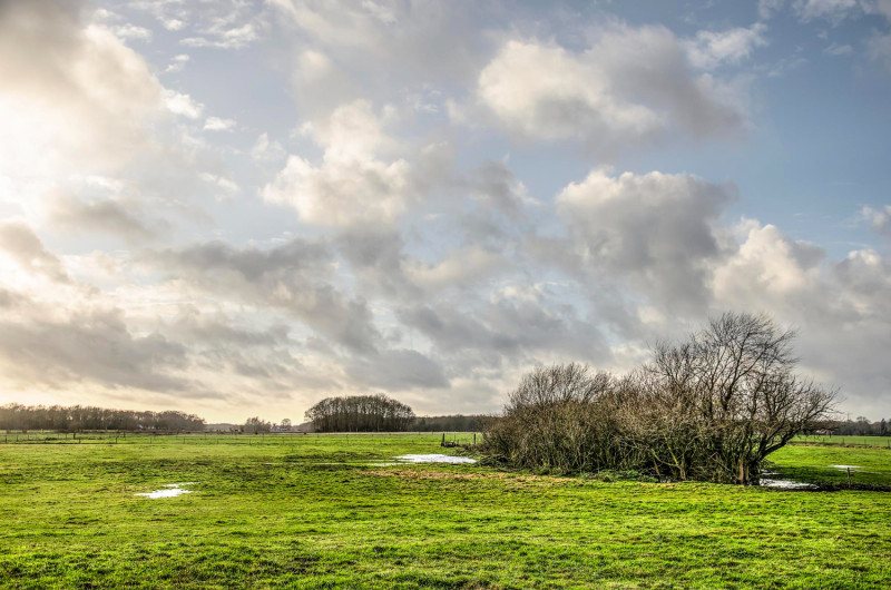 Ciel nuageux en campagne