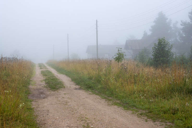 Route de terre en campagne dans le brouillard