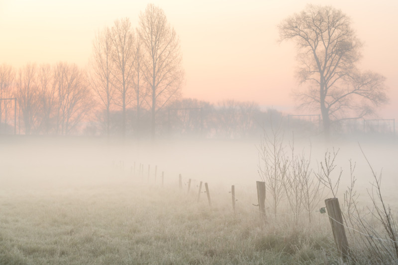 Brouillard dans la campagne