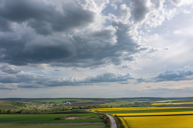 Campagne avec ciel nuageux et champ de colza