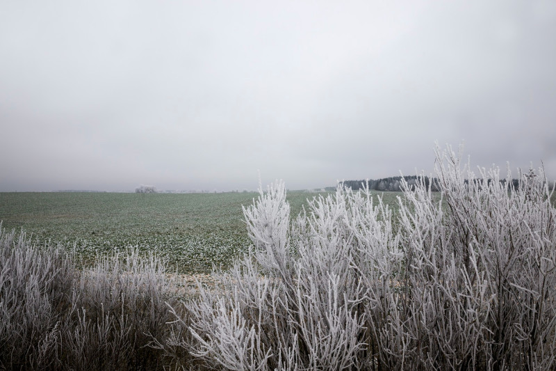 Campagne avec nuages