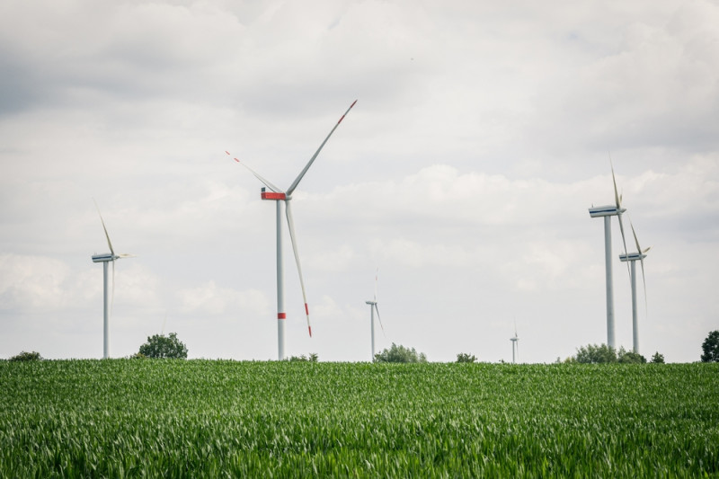 Eoliennes dans un champ