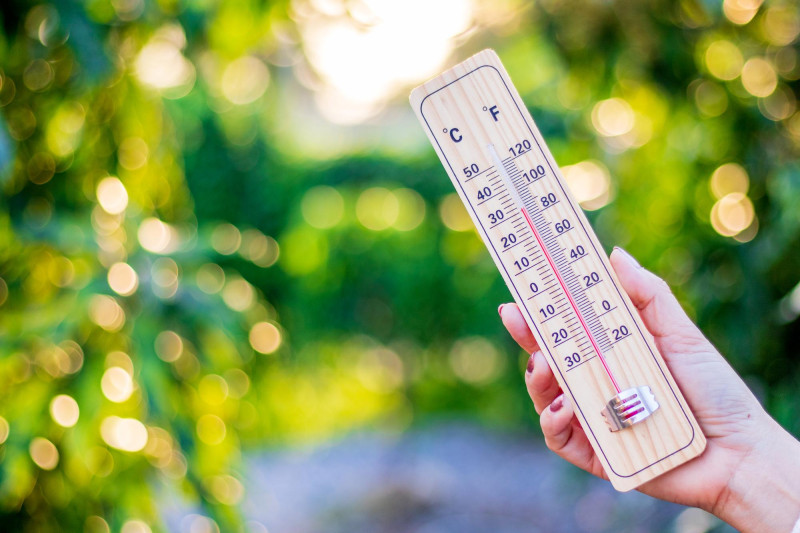 Une femme tient un thermomètre