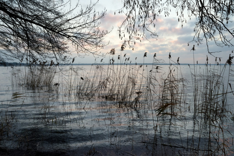 Lac Lacanau en hiver
