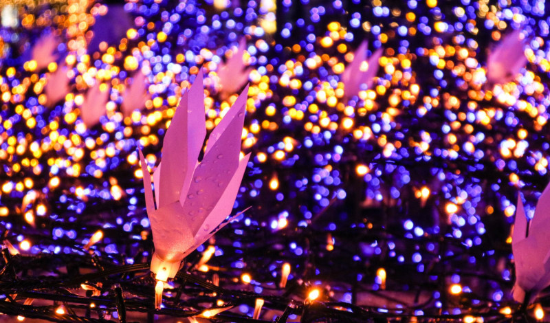 Illuminations et guirlandes