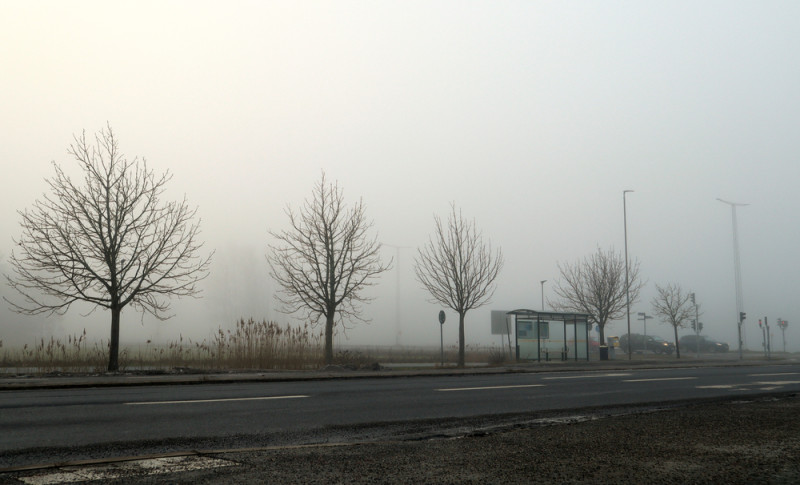 Campagne et brouillard