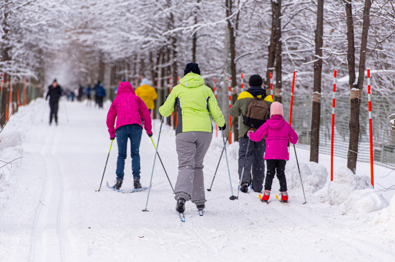 Des gens font du ski de fond