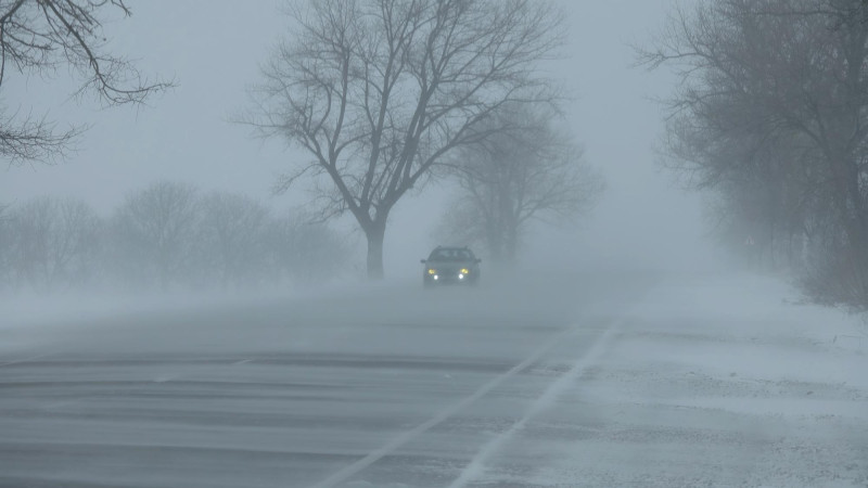 Une voiture roule dans le brouillard