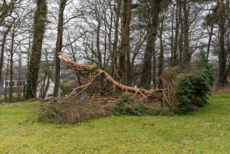 Vue des dégâts causés par une tempête