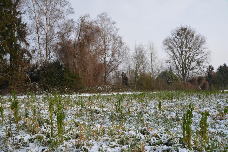 Campagne en hiver