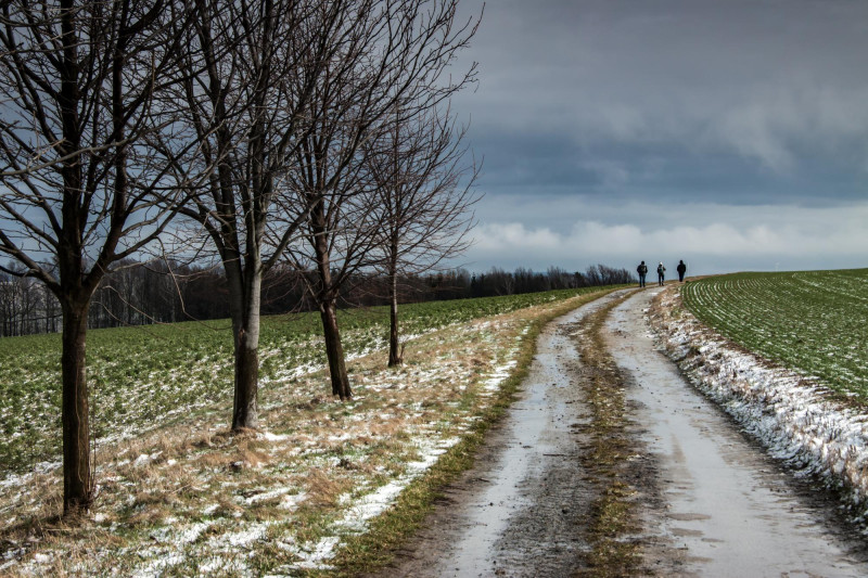 Route de campagne en hiver