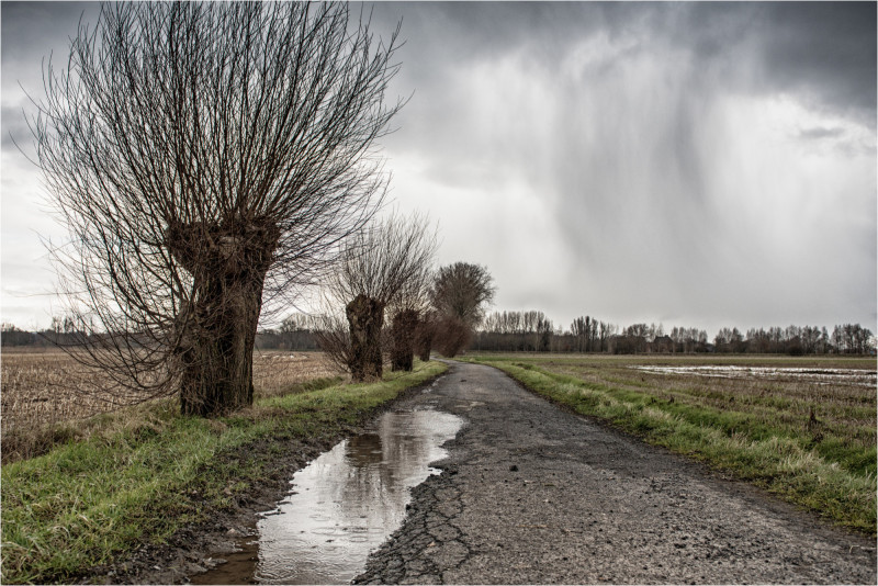 Pluie dans une campagne